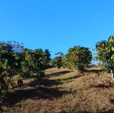 Captura de tela 2025-06-25 165009