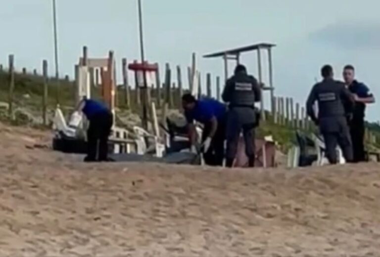 22f37845-6e44-4763-92b0-ea05bc66c691